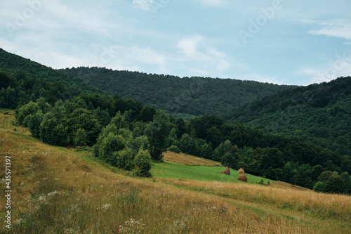 Beautiful natural landscape in the mountains. Picturesque view of the valley. Travel and exploration. Amazing natural scenery. Tourism and travel concept image, fresh and relaxing image of nature