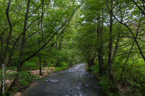 Río Duratón en plena naturaleza
