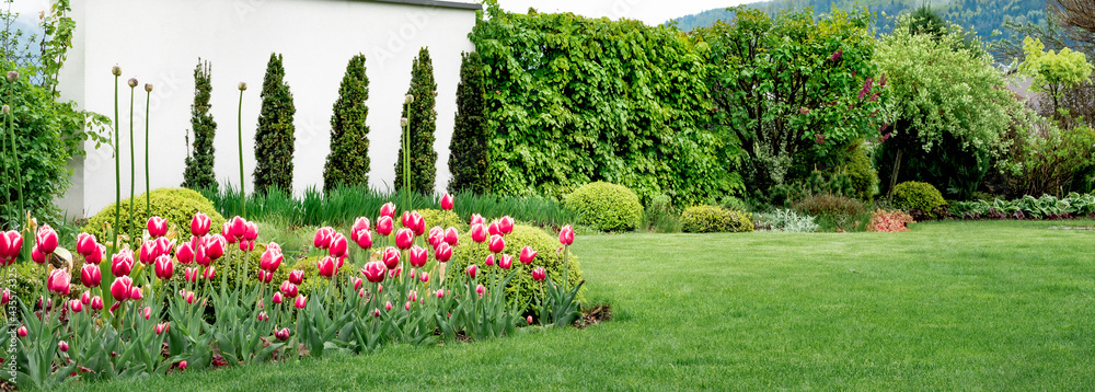 Obraz premium Ścianka w ogrodzie, nowoczesna forma ogrodu w wiosennej odsłonie