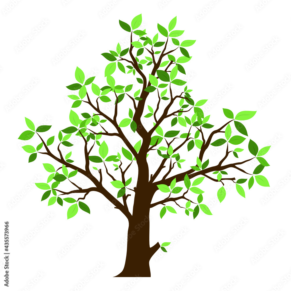 Single isolated tree vector with green leaves Single isolated tree vector with green leaves