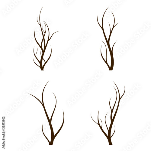 Set of isolated branch tree without leaves