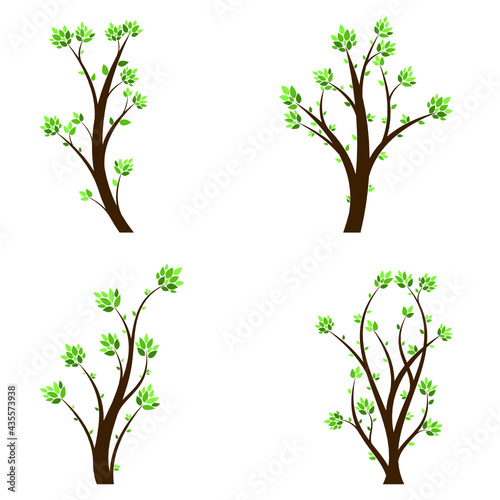 vector set of isolated branch tree with green leaves