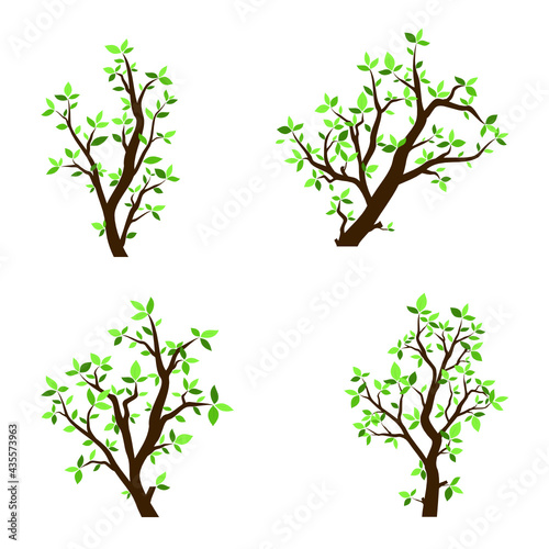 vector set of isolated branch tree with green leaves