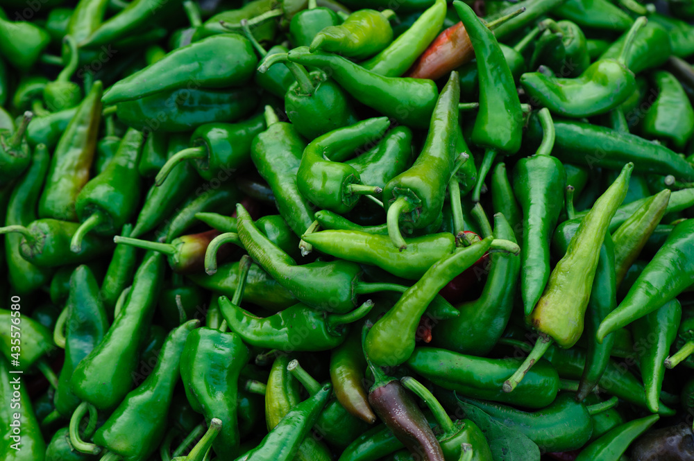 Fresh chilli pepper selling at agriculture market Fresh chilli pepper selling at agriculture market