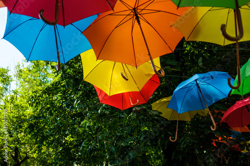umbrellas in the park