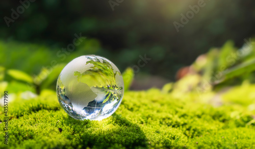 crystal globe glass resting on moss stone with sunshine in nature forset. eco  environment concept © lovelyday12