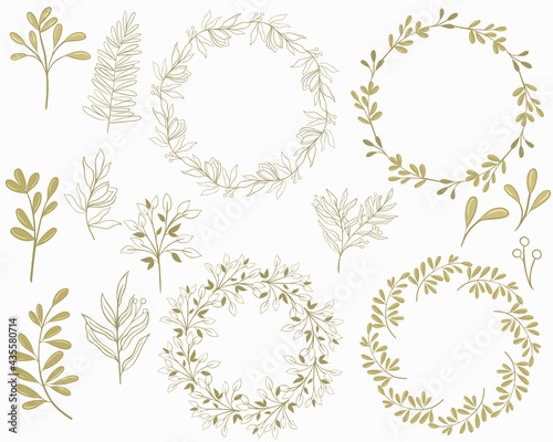 Set of botanical elements and round frames, vector. Individual elements of plants - leaves, flowers and berries, ready-made frames for design. The plant parts are golden in color. Hand drawing.