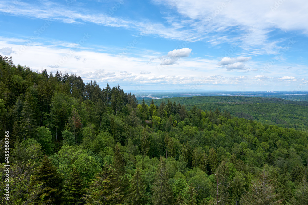 beautiful panarama view from a mountain with forest imposing rocks and under blue sky beautiful panarama view from a mountain with forest imposing rocks and under blue sky