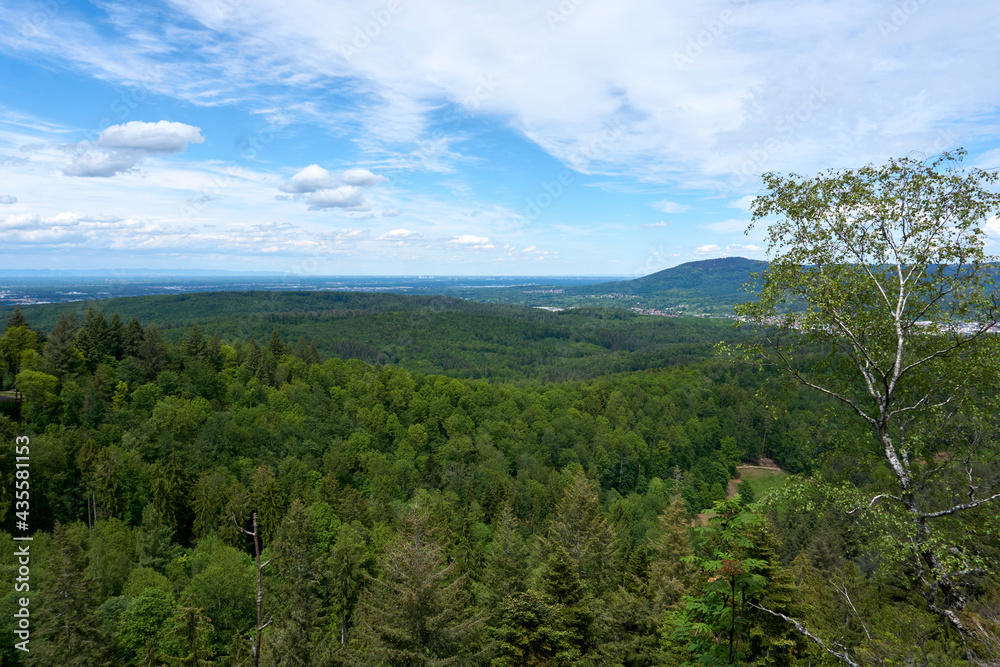 beautiful panarama view from a mountain with forest imposing rocks and under blue sky