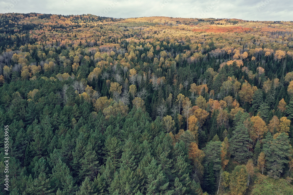autumn forest landscape, view from a drone, aerial photography viewed from above in October park