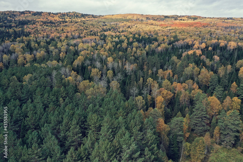autumn forest landscape  view from a drone  aerial photography viewed from above in October park