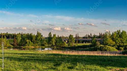 Rural landscape with meadow  forest and lake. Suburban highway bridge in the background.