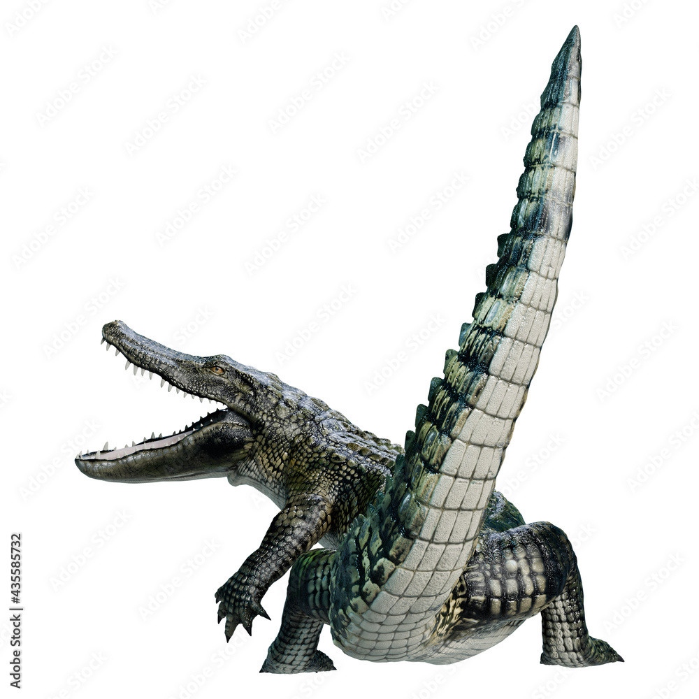 Obraz premium 3D Rendering Green Alligator on White