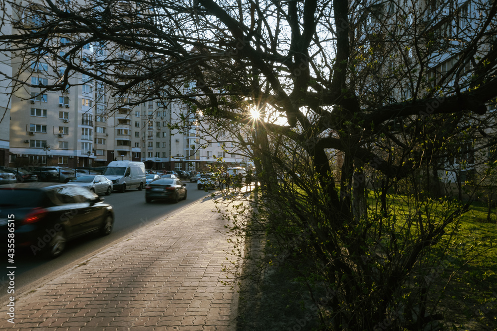 cars on the street, sunlight, green grass, trees, urban, light, shadows