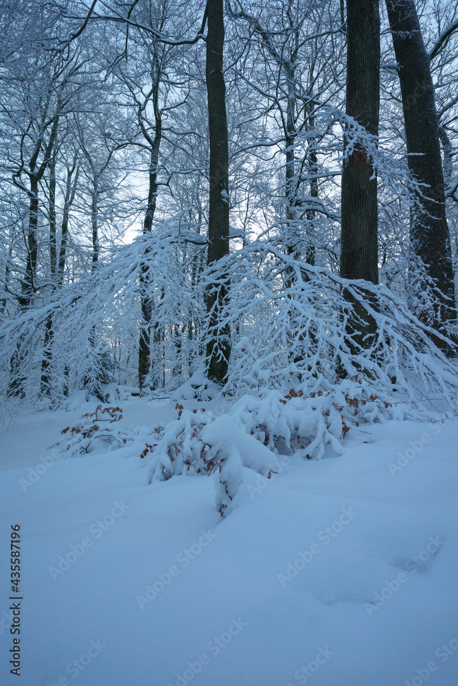 Fototapeta premium Schneewanderung