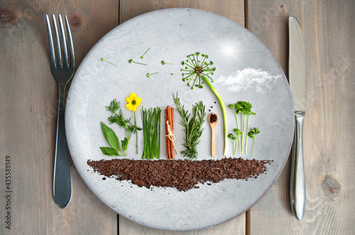 Organic salad garden concept