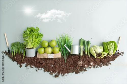 New organic growth, fruits and vegetables