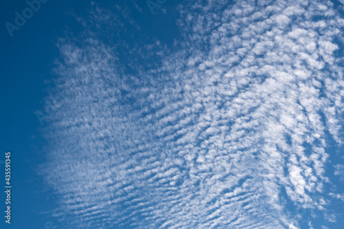 clouds in the blue sky, cirrocumulus photo