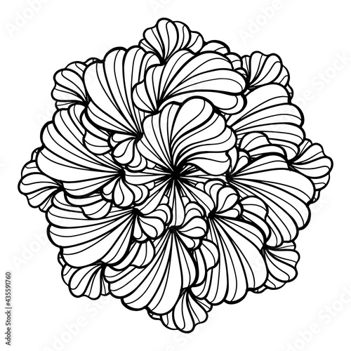 Vector abstract black and white floral mandala motif