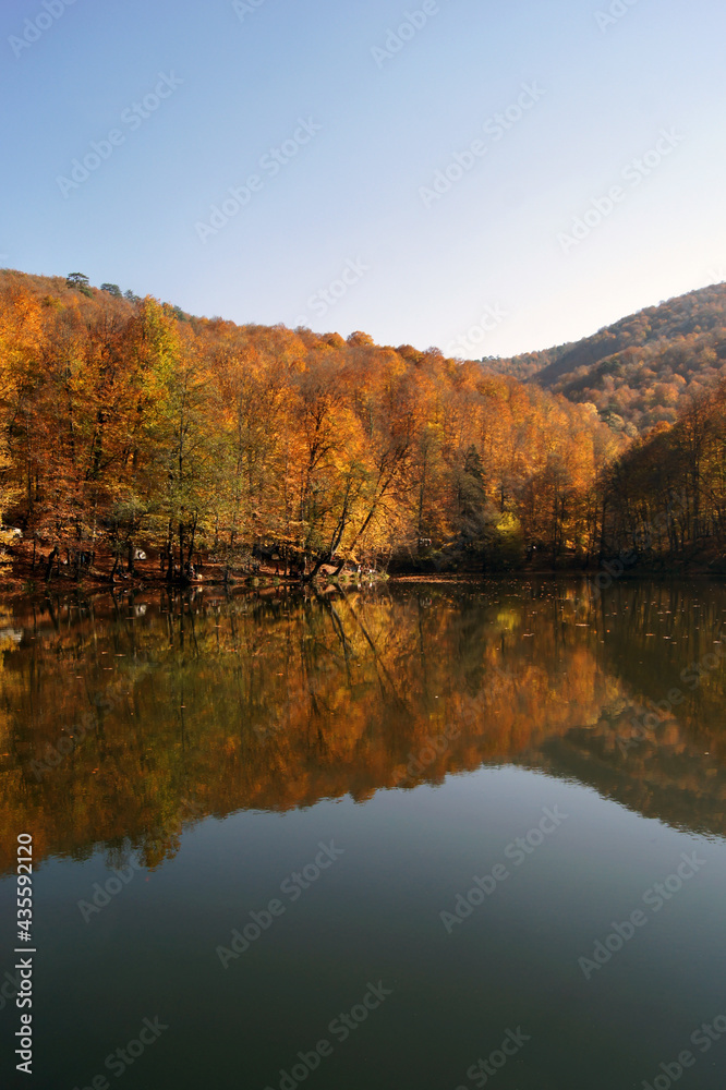 Fall colour reflected in the still waters. Yedigoller National Park, Autumn views. Bolu, Turkey Fall colour reflected in the still waters. Yedigoller National Park, Autumn views. Bolu, Turkey