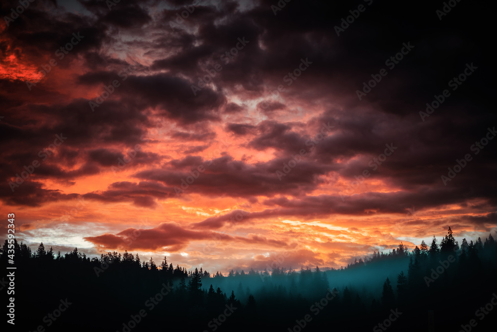 Dramatischer Sonnenuntergang Sonnenaufgang mit Wald Silhouette