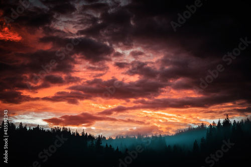 Dramatischer Sonnenuntergang Sonnenaufgang mit Wald Silhouette