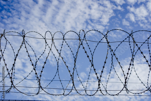 barbed wire against the blue sky. protected area. A special, dangerous zone.