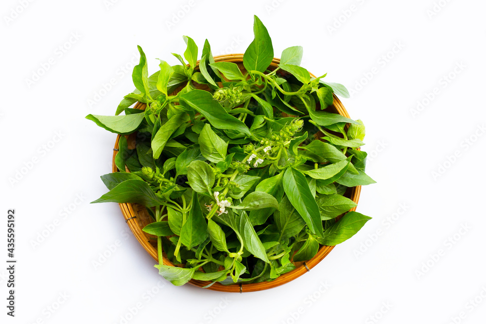 Hairy Basil in bamboo basket on white background. Hairy Basil in bamboo basket on white background.