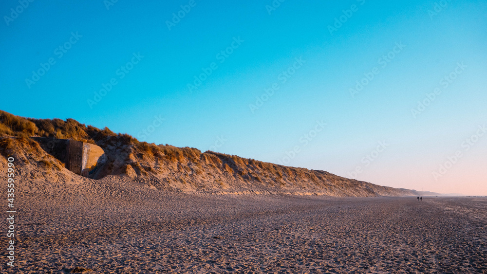 Oyat dans les dunes avec sunset au Touquet Paris Plage