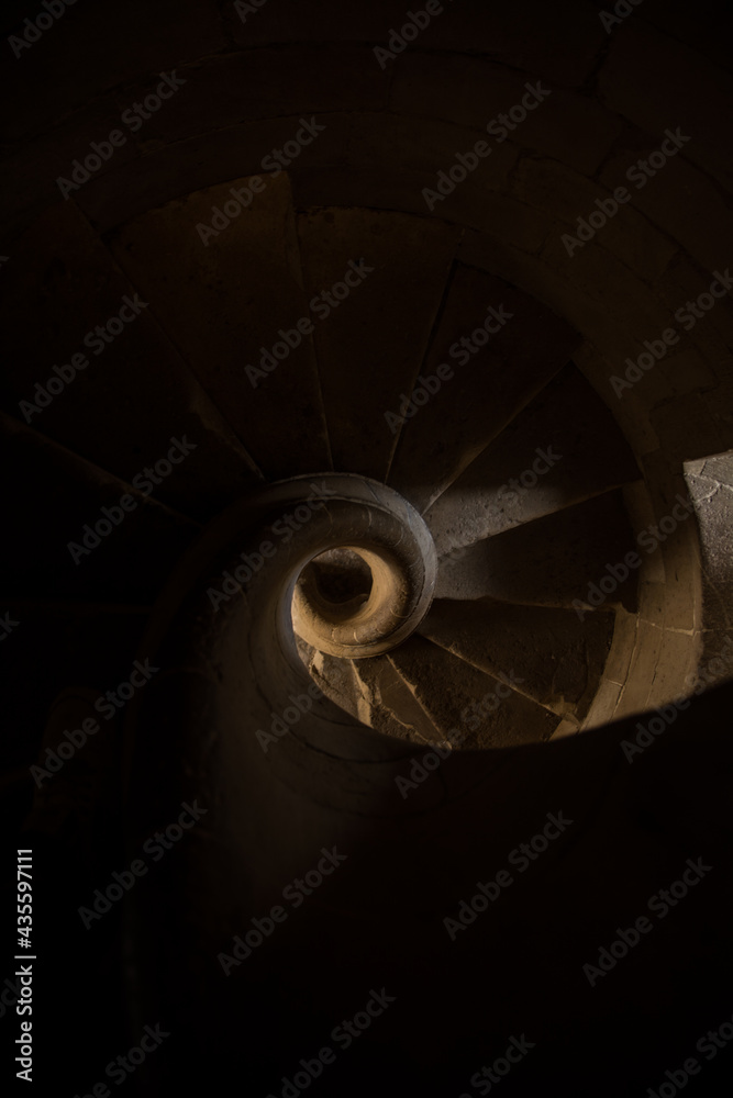 Fototapeta premium - Caracol -