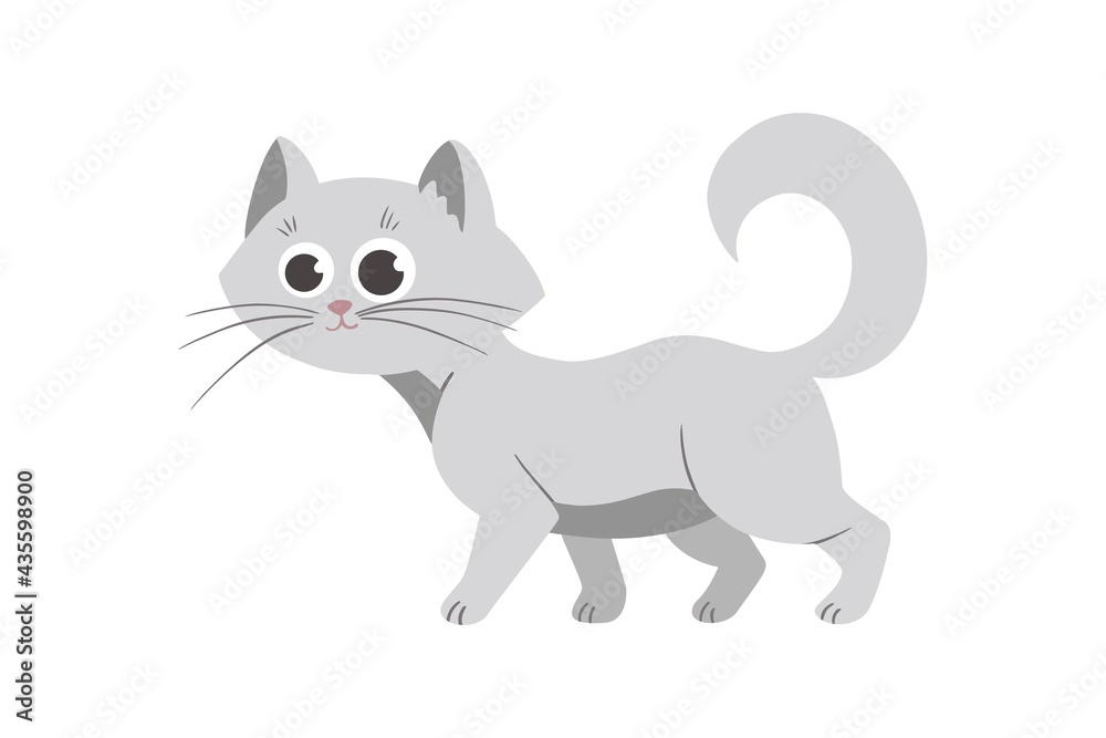 cute grey little cat vector illustration on white.