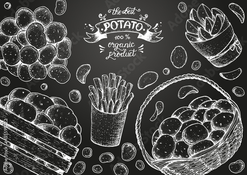 Potato vector illustration. Basket and box of potatoes. French fries, rustic potatoes and chips hand drawn. Engraved style frame.