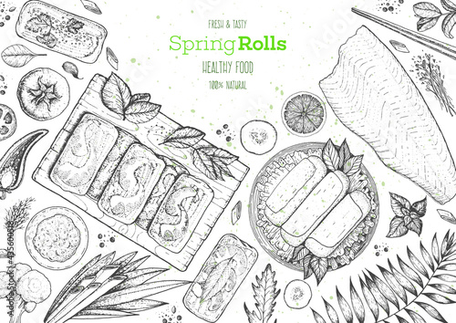 Asian food menu design template. Spring rolls and ingredients for spring rolls vector illustration. Vietnamese food top view frame. Vintage hand drawn sketch vector illustration. Engraved image.