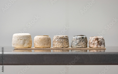 Crottin de Chavignol