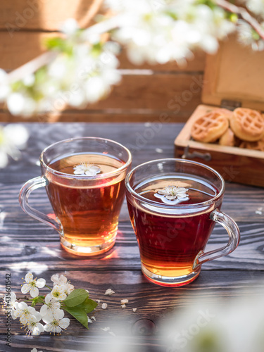 Tea party on a wooden table with branches of blossoming cherry. Black tea in glass mugs. Cherry flowers in a cup. Wooden chest with cookies in the background. Side view.