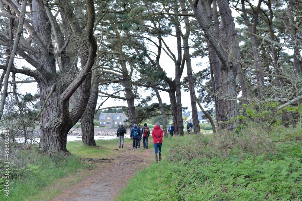 Retired hikers on a path in Brittany. France Retired hikers on a path in Brittany. France