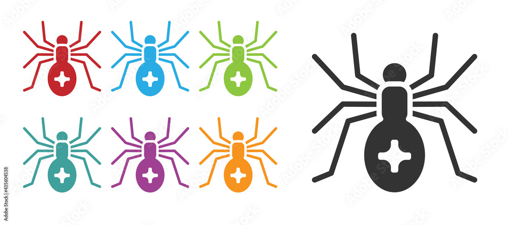 Black Spider icon isolated on white background. Happy Halloween party. Set icons colorful. Vector