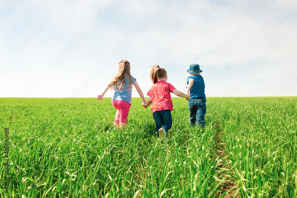 Fototapeta premium A group of happy children of boys and girls run in the Park on the grass on a Sunny summer day . The concept of ethnic friendship, peace, kindness, childhood