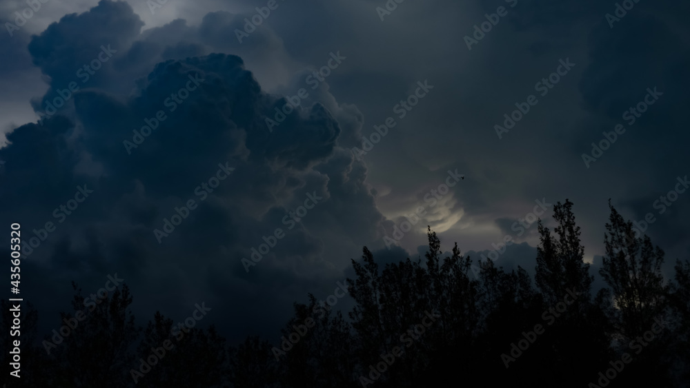 Thunderstorm, Trees bending in the strong wind and a little bird flying through the storm. Thunderstorm, Trees bending in the strong wind and a little bird flying through the storm.
