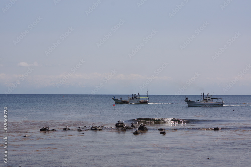 能登半島・海に浮かぶ漁船と鳥たち 能登半島・海に浮かぶ漁船と鳥たち