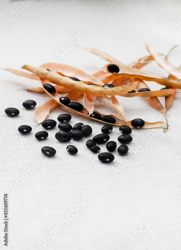 Dry black beans photo