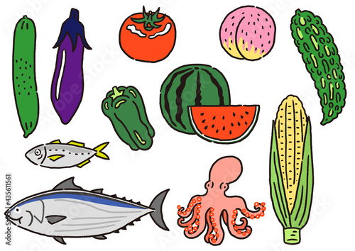 夏の食材　旬の野菜と魚のセット