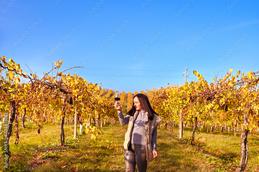 Young woman with a glass of white wine in the vineyards of Italy. Free space for text. Golden Autumn in the Hills Vineyards Tuscany region in italy. High quality photo. Copy space
