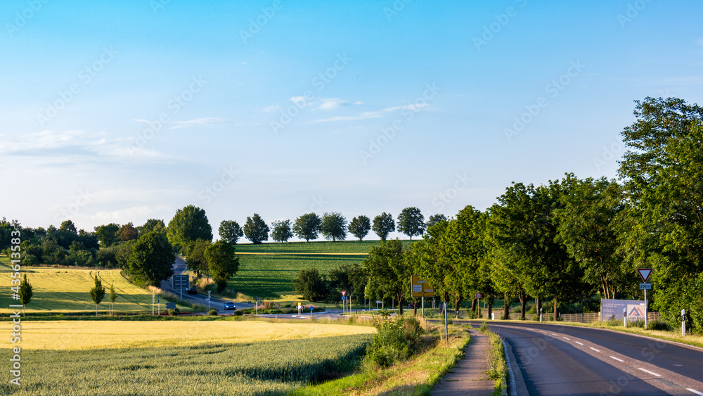 Panoramic view of asphalt road in green rural landscape with blue sky in summer in Bad Friedrichshall, Heilbronn, Germany