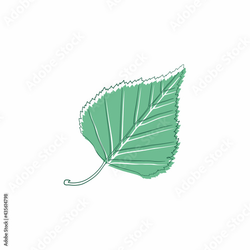 Graceful green leaf. Flat twig. Vector isolated element. Garden plant. Icon