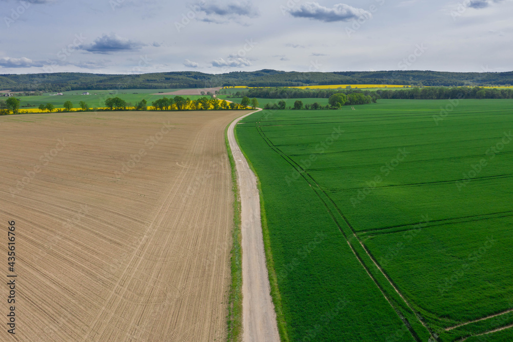 Przedgórze Sudeckie. Pola uprawne z plantacjami kwitnącego rzepaku. Zdjęcie zrobione przy użyciu latającego drona.