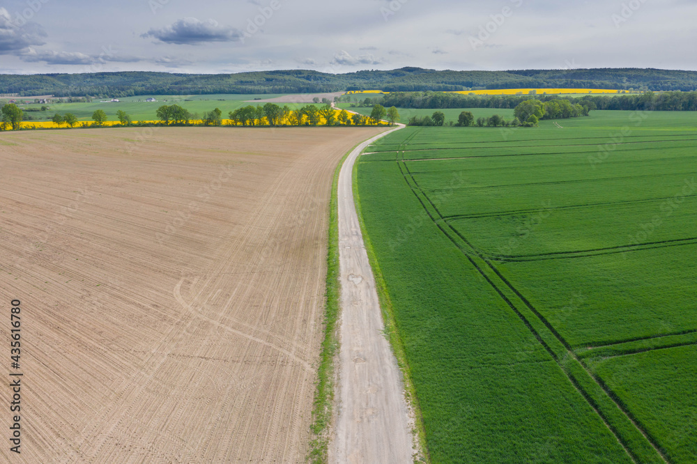 Przedgórze Sudeckie. Pola uprawne z plantacjami kwitnącego rzepaku. Zdjęcie zrobione przy użyciu latającego drona.