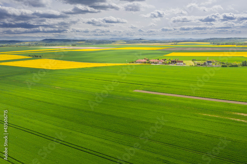 Przedgórze Sudeckie. Pola uprawne z plantacjami kwitnącego rzepaku. Zdjęcie zrobione przy użyciu latającego drona.
