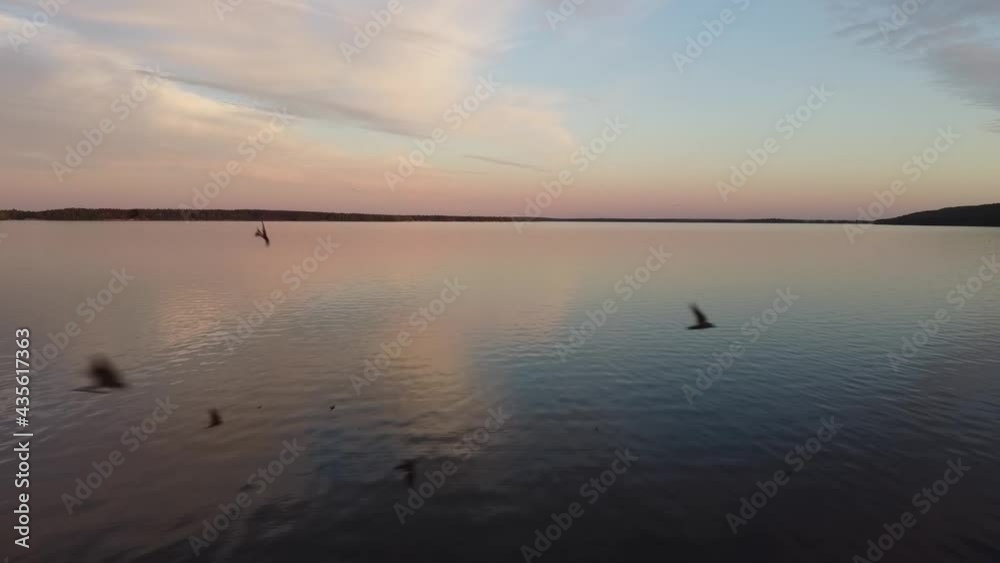 Smooth lake water with reflected dramatic pink clouds and swallows in sky
