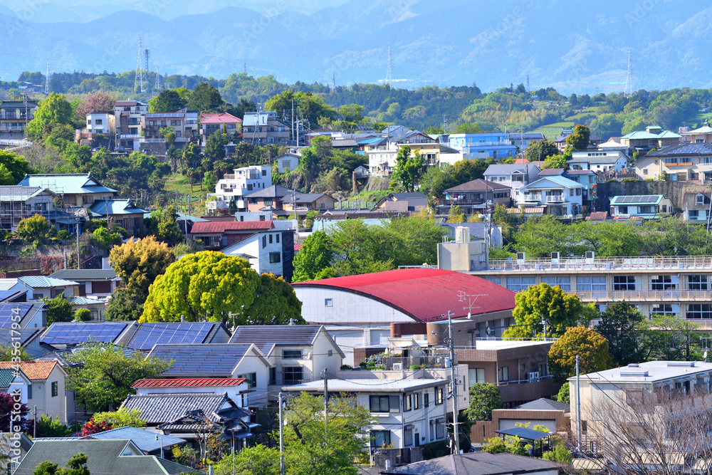 Fototapeta premium 小田原城の周りの丘陵に立ち並ぶ住宅